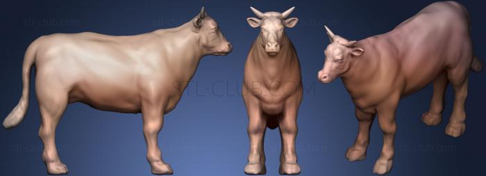 3D model Cow (STL)